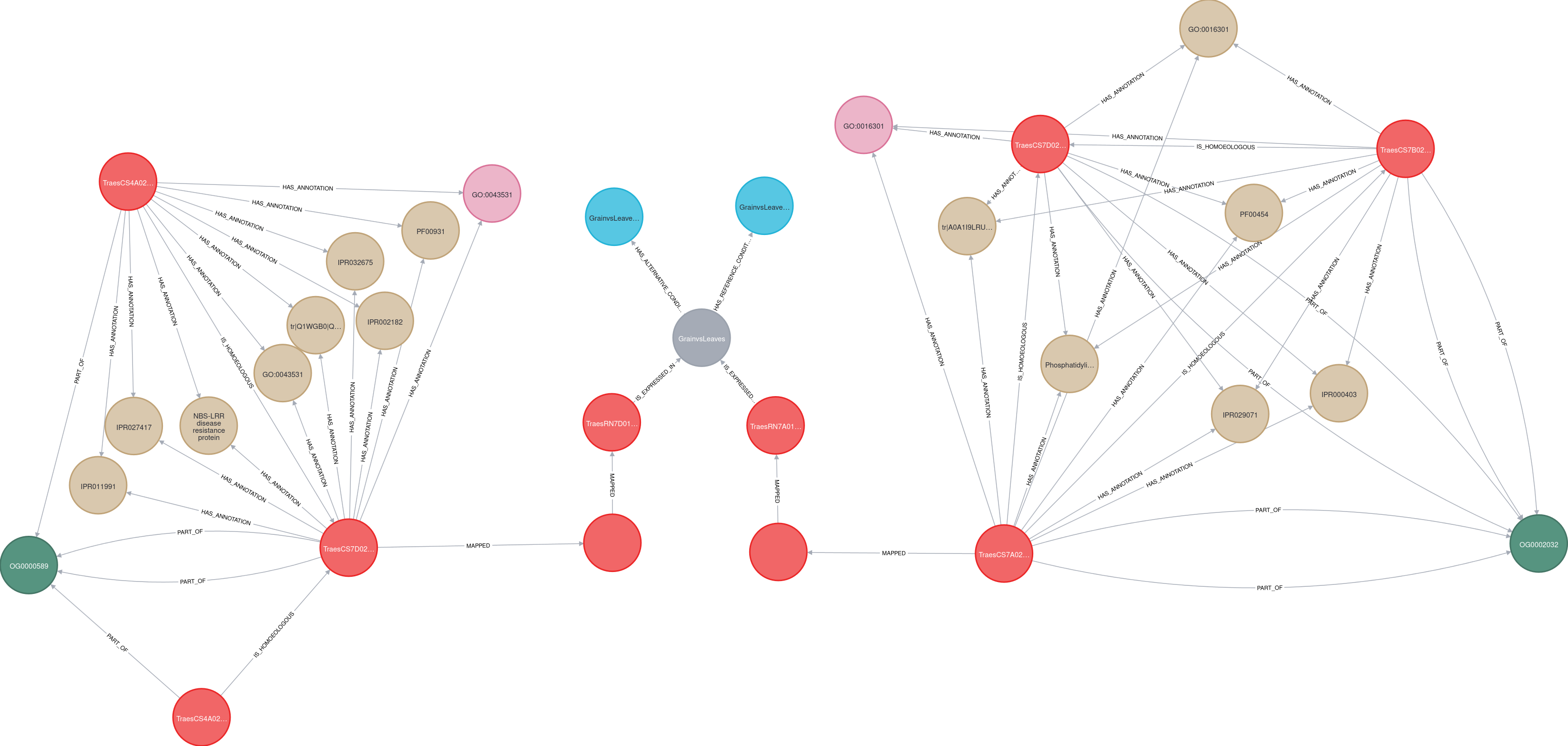 Stage Master 2 Intégration de connaissances liées à des ressources génétiques et génomiques, dans une base de données graphe