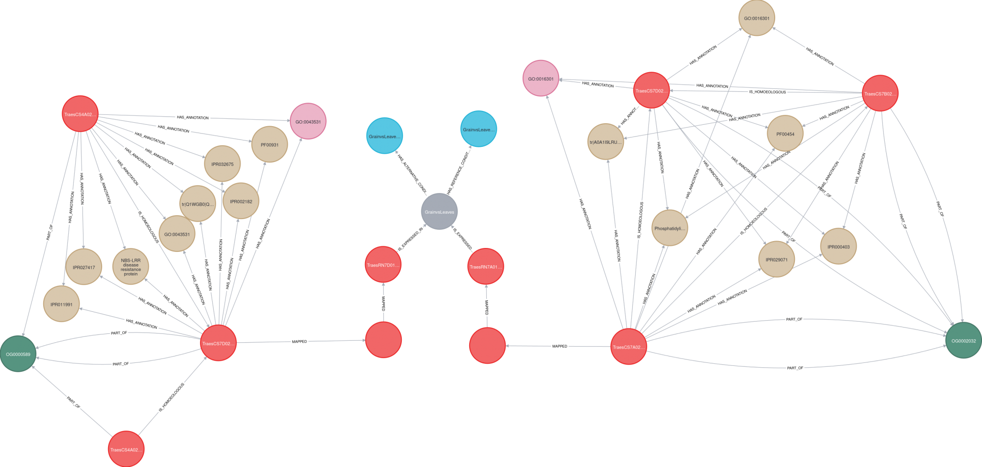 Graphe représentant l'expression différentielle de gènes, leur annotation fonctionnelle et leur homéologues chez deux variétés de blé (Renan de Chinese Spring.